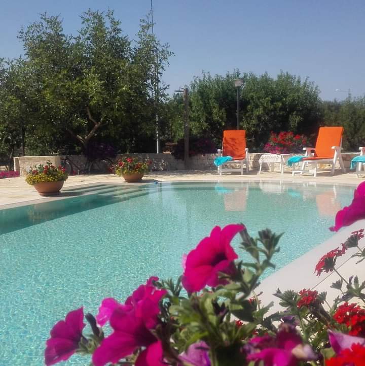 trullo del mandorlo bed and brakfast locorotonda piscina 16