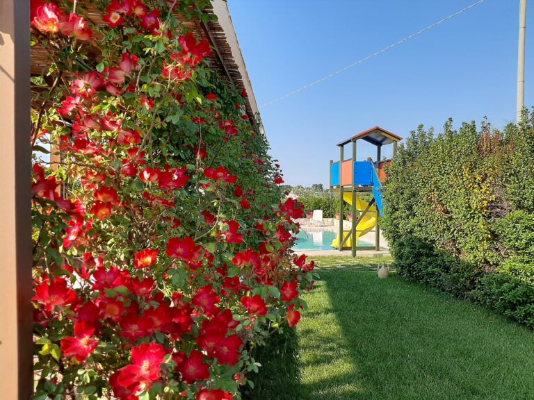 trullo del mandorlo bed and brakfast locorotondo 6